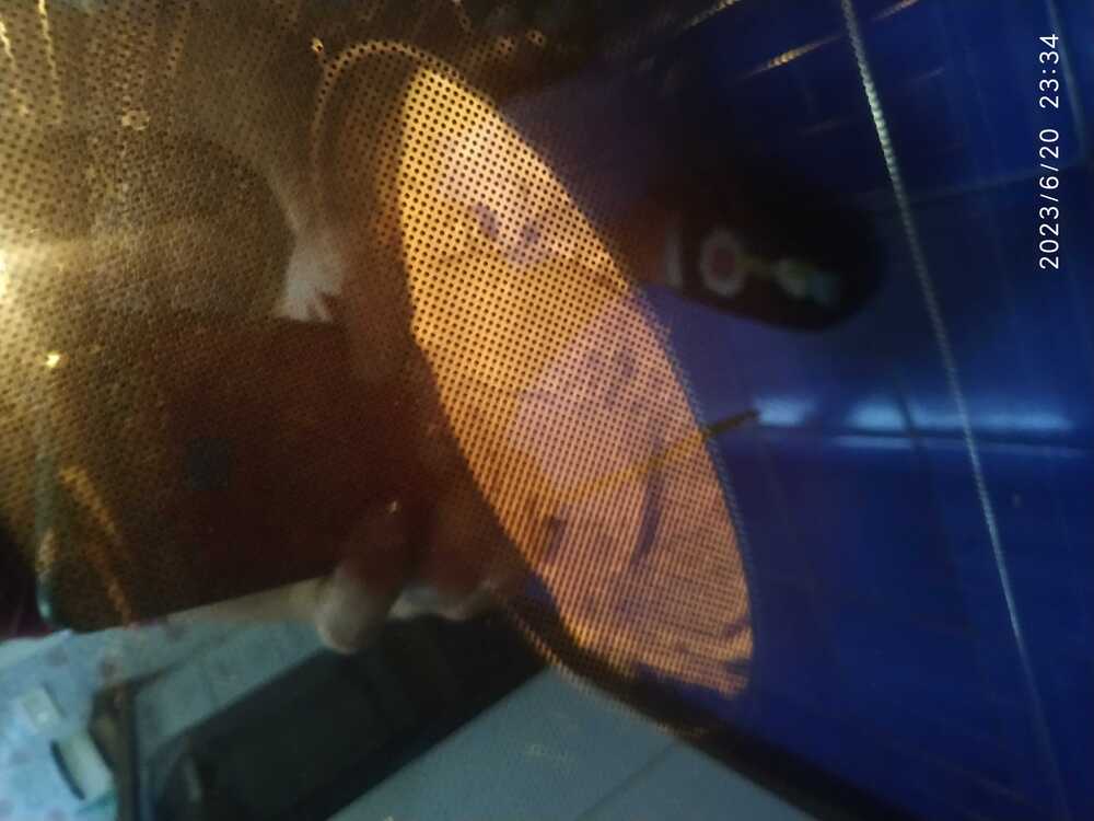 IMG 20230620 233418